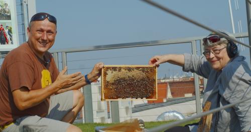 Beekeeping on the Roof of the Museum of Agriculture